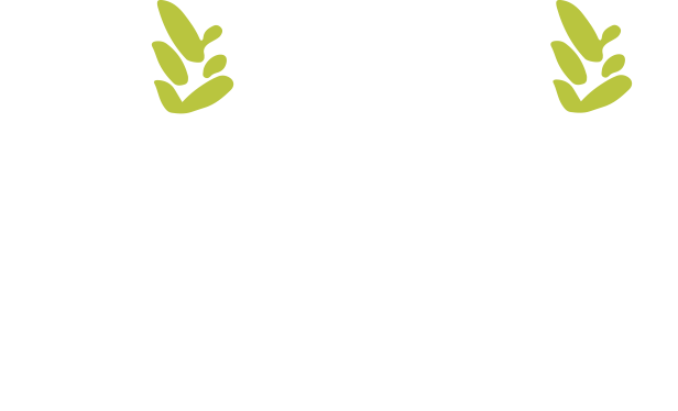 Pizzeria Birrificio Comparsa - Montagnaga di Pinè